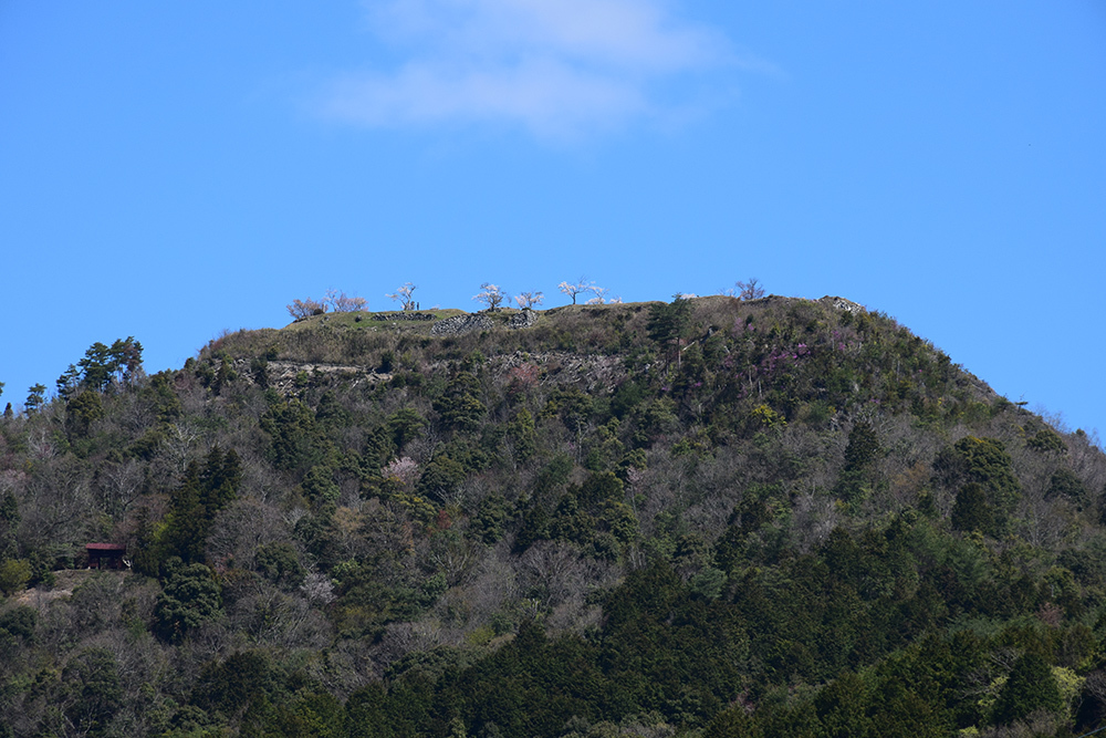 丹波の赤鬼の居城、黒井城攻城記。 その1 <山麓>_e0158128_14262130.jpg