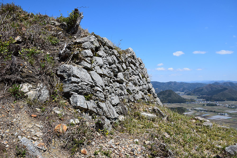 丹波の赤鬼の居城、黒井城攻城記。　その３　＜東曲輪・三ノ丸・南帯曲輪＞_e0158128_15061954.jpg