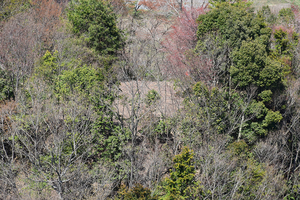 丹波の赤鬼の居城 黒井城攻城記 その５ 西ノ丸 西太鼓ノ段 千丈寺砦 坂の上のサインボード