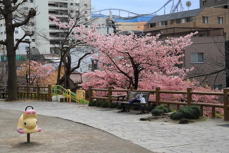 東大レトロ建築探訪 part 4_f0348831_23314014.jpg
