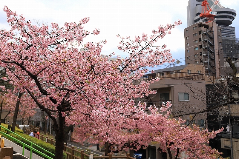 東大レトロ建築探訪 part 4_f0348831_23314041.jpg