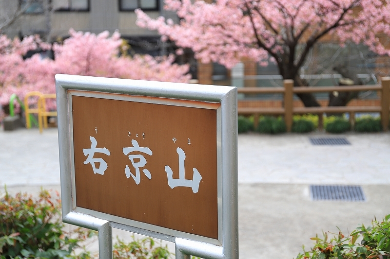 東大レトロ建築探訪 part 4_f0348831_23314055.jpg