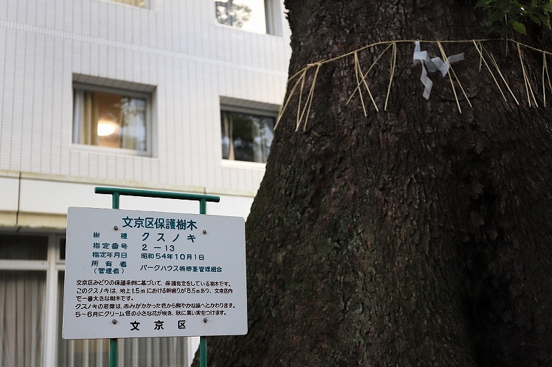 東大レトロ建築探訪 part 4_f0348831_23314572.jpg