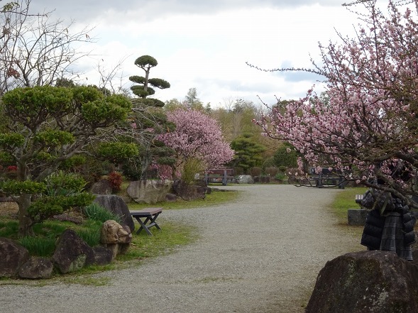 和泉リサイクル環境公園・日本庭園の梅_b0299042_20360641.jpg