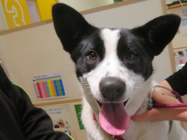 3 月 3 日の写真_c0174644_11571937.jpg