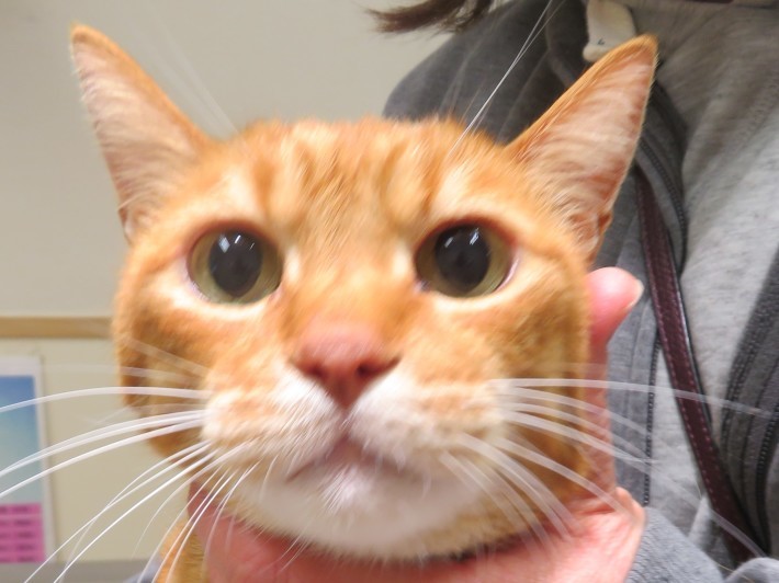 3 月 3 日の写真_c0174644_12331326.jpg