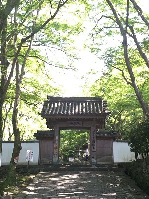 涼を求めて牛滝山へ~♪_e0123286_19225295.jpg