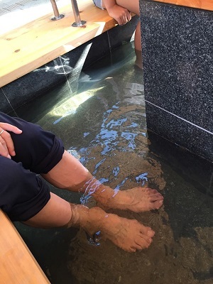 涼を求めて牛滝山へ~♪_e0123286_19245029.jpg