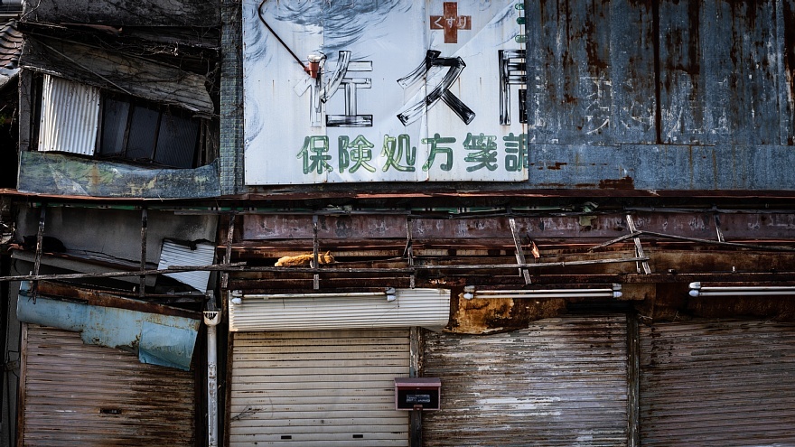 猫が集う廃店舗_d0353489_12252484.jpg