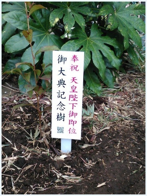 いつもの・・・_c0352813_11202057.jpg