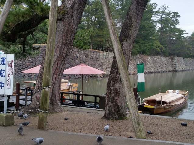 山陰放送ラジオ あさスタ ひろがる料理_c0124528_16584183.jpeg