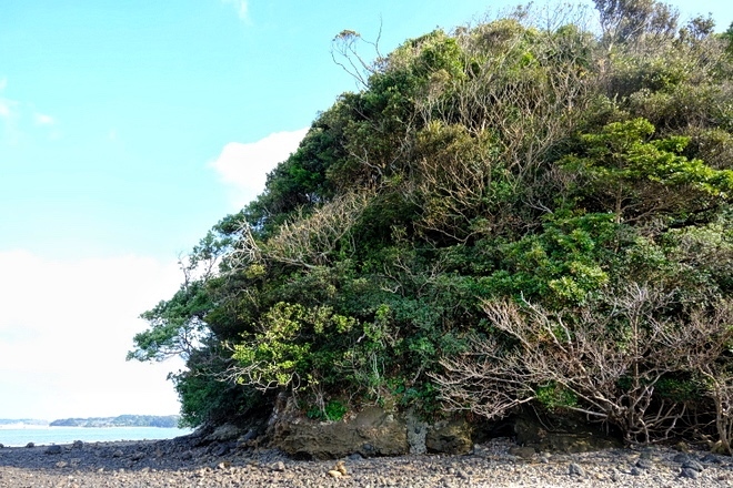 「長崎・壱岐 壱岐のモン・サン=ミッシェル 小島神社」_a0000029_20372748.jpeg