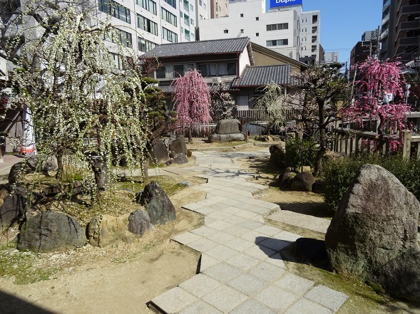 大阪天満宮の梅_b0299042_17201495.jpg