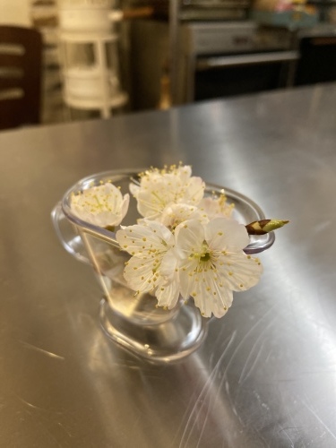 弥生の料理クラス こんな時こそ 桜が満開 _b0346442_11383929.jpeg