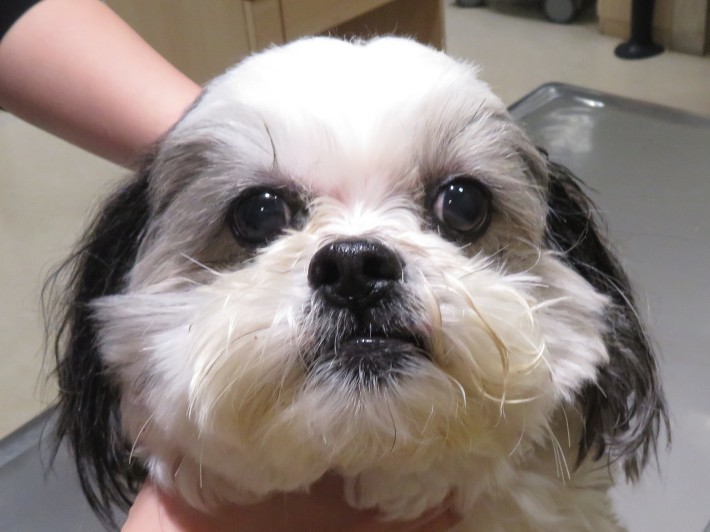 3 月 4 日の写真_c0174644_19403238.jpg
