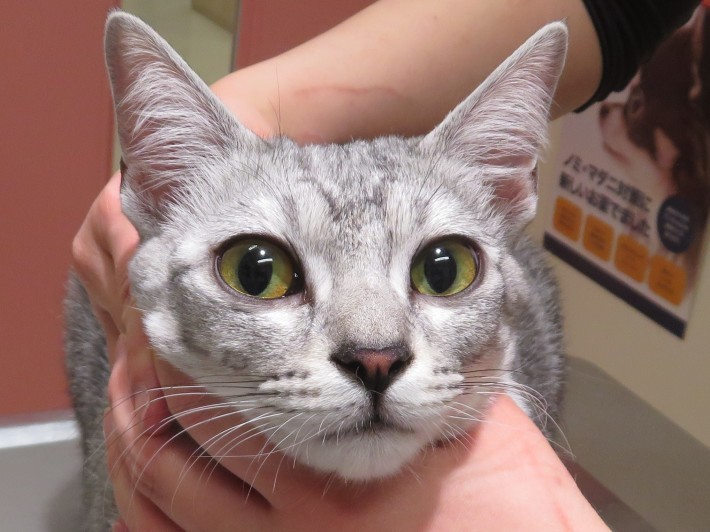 3 月 4 日の写真_c0174644_20290985.jpg