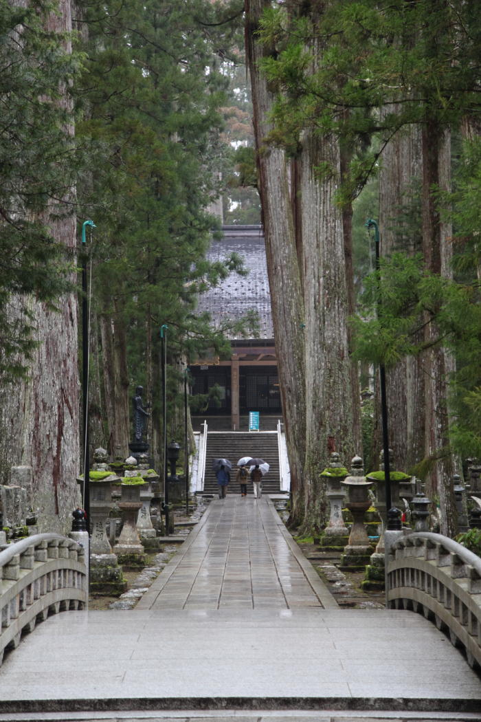 2020早春 紀伊半島 その6_b0168647_22475548.jpg