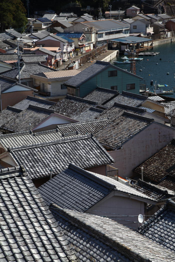 2020早春 紀伊半島 その3_b0168647_22493737.jpg