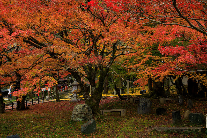 紅葉が彩る京都2019　秋の岩屋寺_f0155048_23411051.jpg