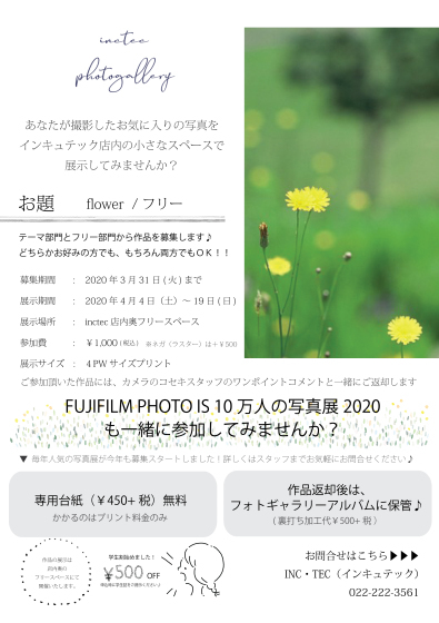 春のポストカード_c0219051_15370545.jpg