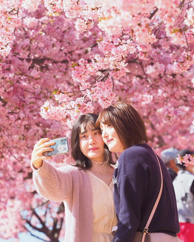 桜咲く 🌸いせさき市民のもり公園で🌸_c0305565_17460592.jpg