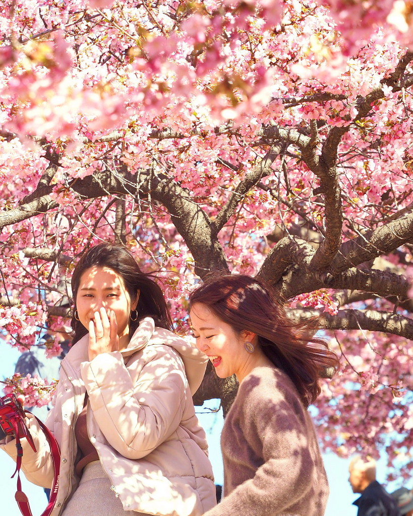桜咲く 🌸いせさき市民のもり公園で🌸_c0305565_17462937.jpg