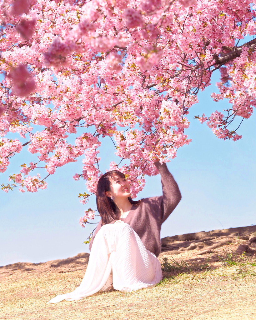 桜咲く 🌸いせさき市民のもり公園で🌸_c0305565_17471425.jpg