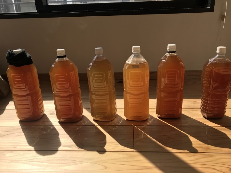 「失敗しないEM発酵液作り」_b0034072_10434147.jpg