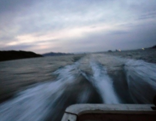 渡船釣行_d0195183_00463805.jpg