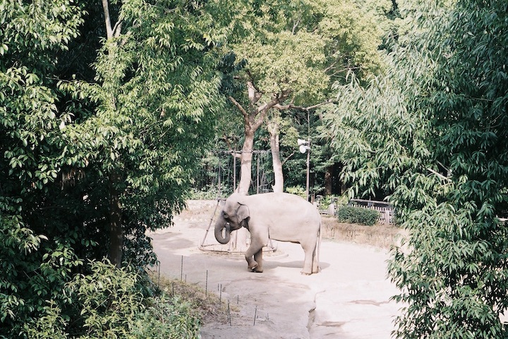 フィルムズーラシア X-700編 ① 5枚_b0016600_23595655.jpg