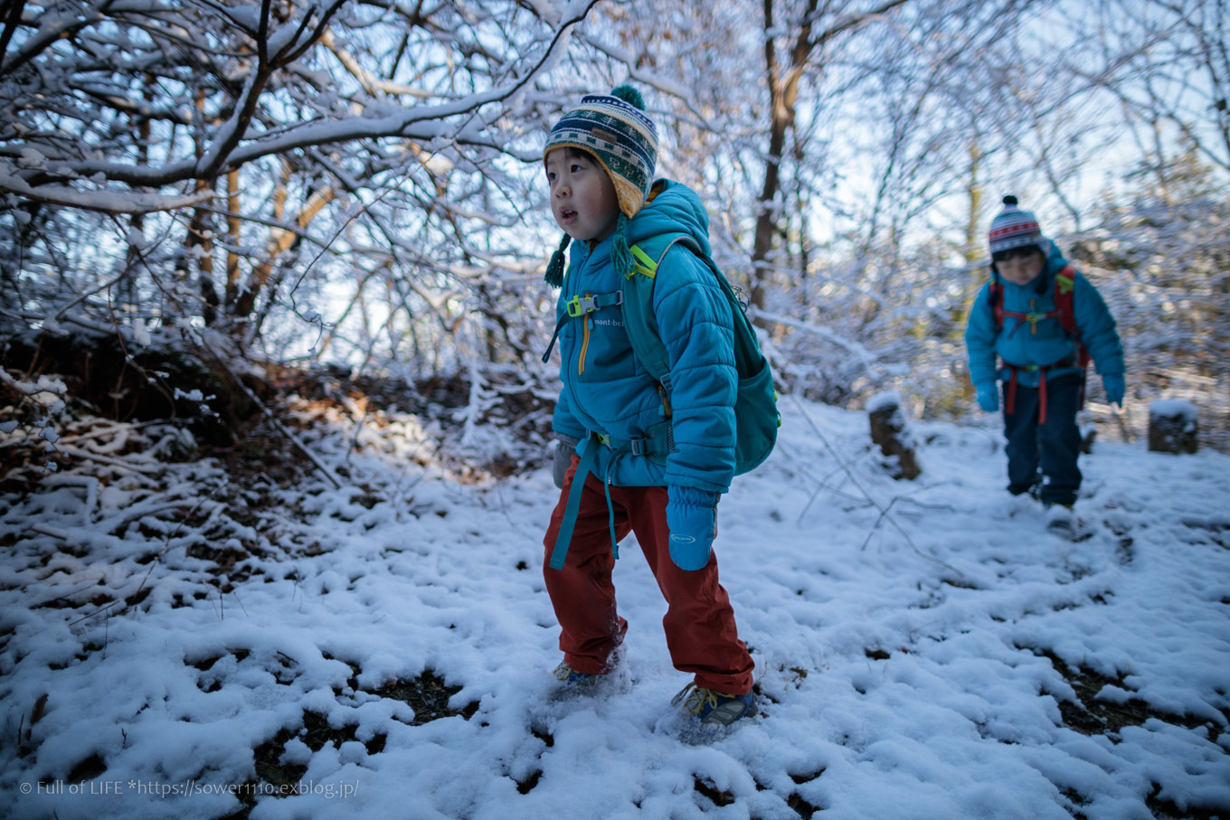 4歳6歳ちびっ子兄弟 冬山は楽しいね！「宝登山」念願の雪景色_c0369219_17045260.jpg