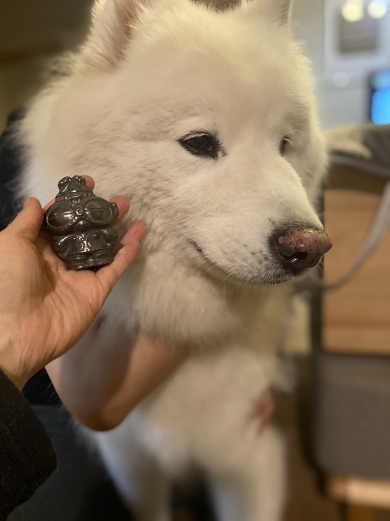 しゃこちゃん オーブラカ Oblako しゃこちゃん オーブラカ Oblako