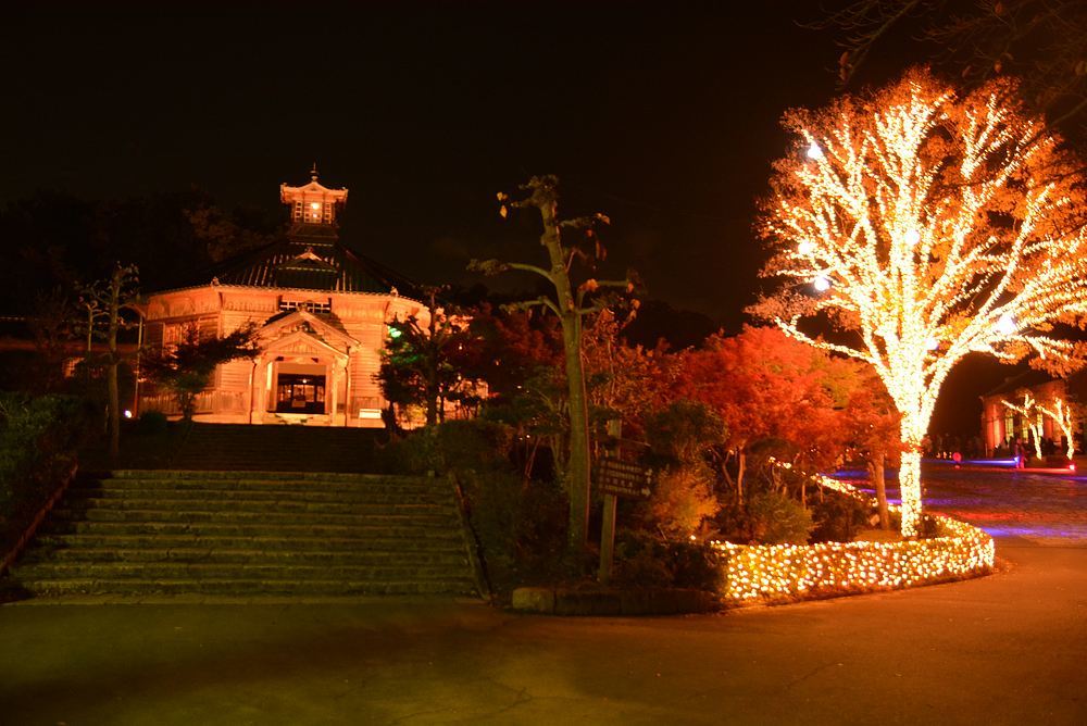 きらめき明治村2019～2020 5丁目の夜景_e0373930_08464952.jpg