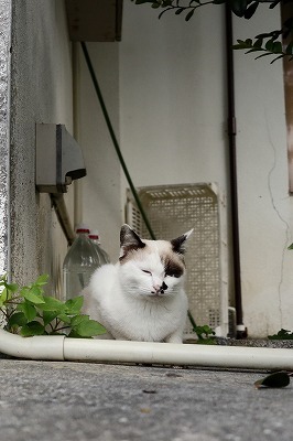 3月 5日 春が来た_b0158746_20520058.jpg
