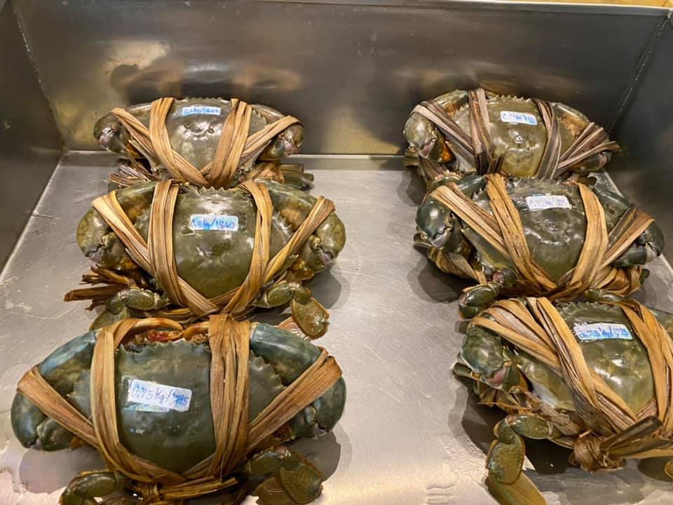 【南アフリカ道中➉~番外編2】今日はご飯の日! 2020.3.4_b0002156_13232146.jpg