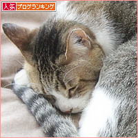 変形猫団子_a0389088_07423295.jpg