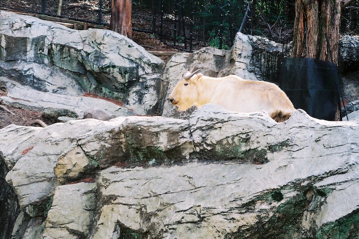 フィルムズーラシア X-700編 ① 5枚_b0016600_00221.jpg