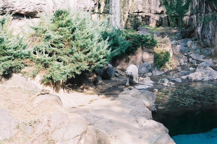 フィルムズーラシア X-700編 ① 5枚_b0016600_00425.jpg