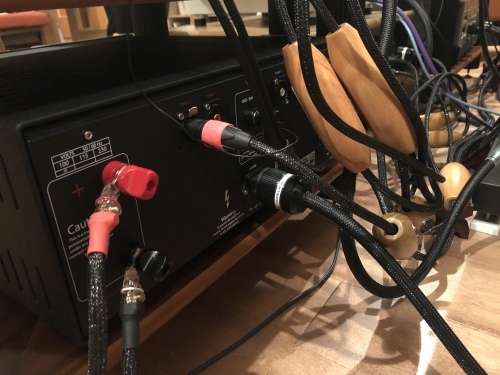 お客様訪問記【VITUS AUDIO RS-101】_c0113001_17195266.jpeg