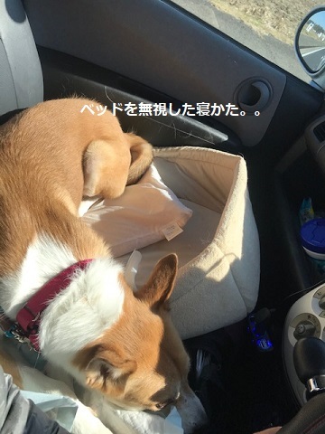 ちびさんとドライブ♪_f0242002_20203312.jpg