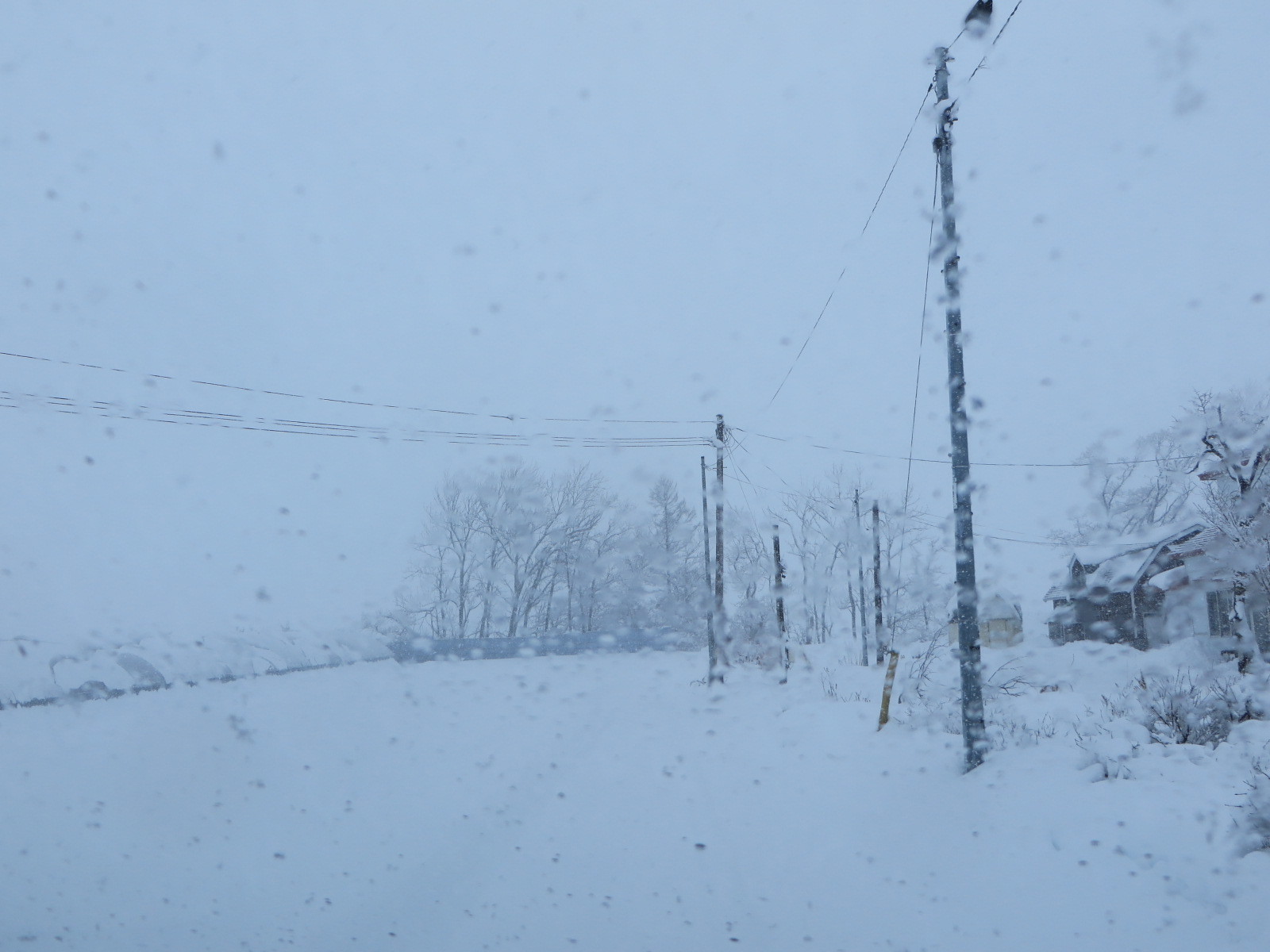 降っている雪_b0405523_10082094.jpg