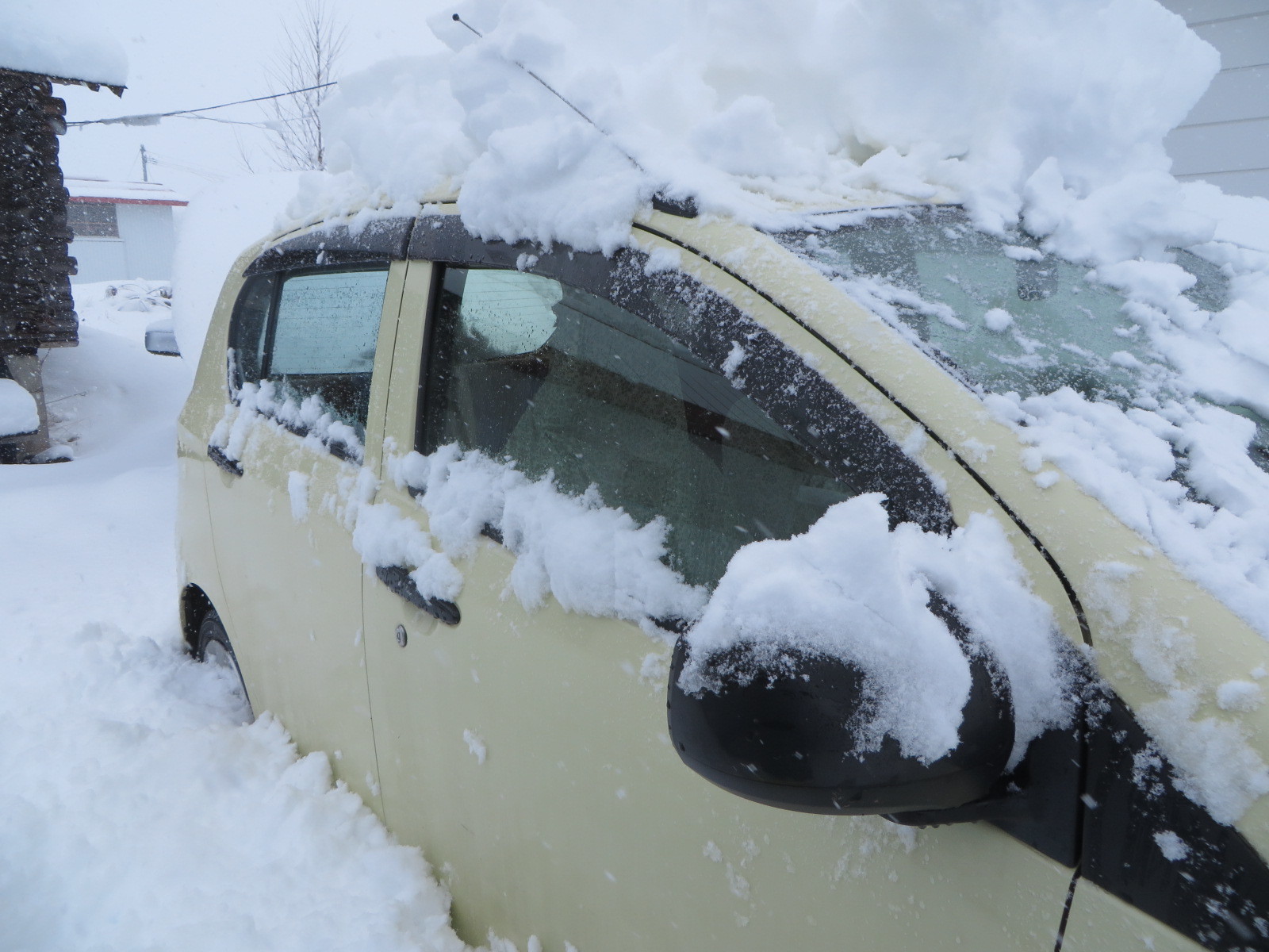 降っている雪_b0405523_10092426.jpg