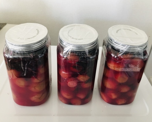 CV _a0168628_01581702.jpeg