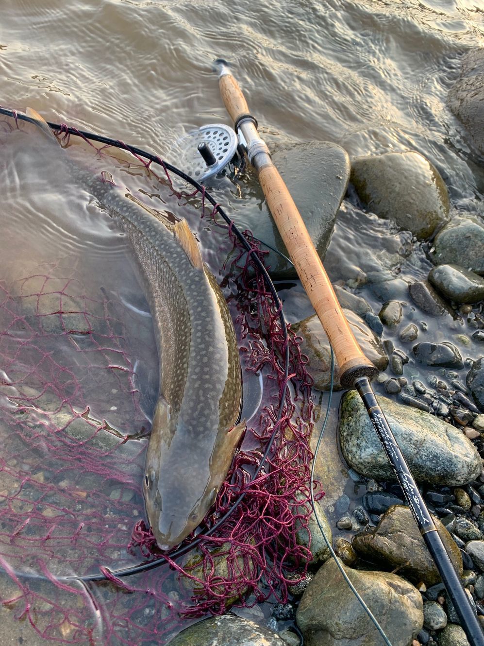 Greased Line Glide / グリースド ライン グライド by Anglers Greased Line Glide / グリースド ライン グライド by Anglers