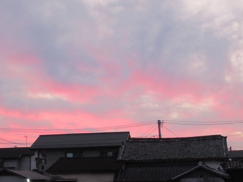 大分旅行　②　久住高原から日田へ　2019年_b0343635_14572840.jpg