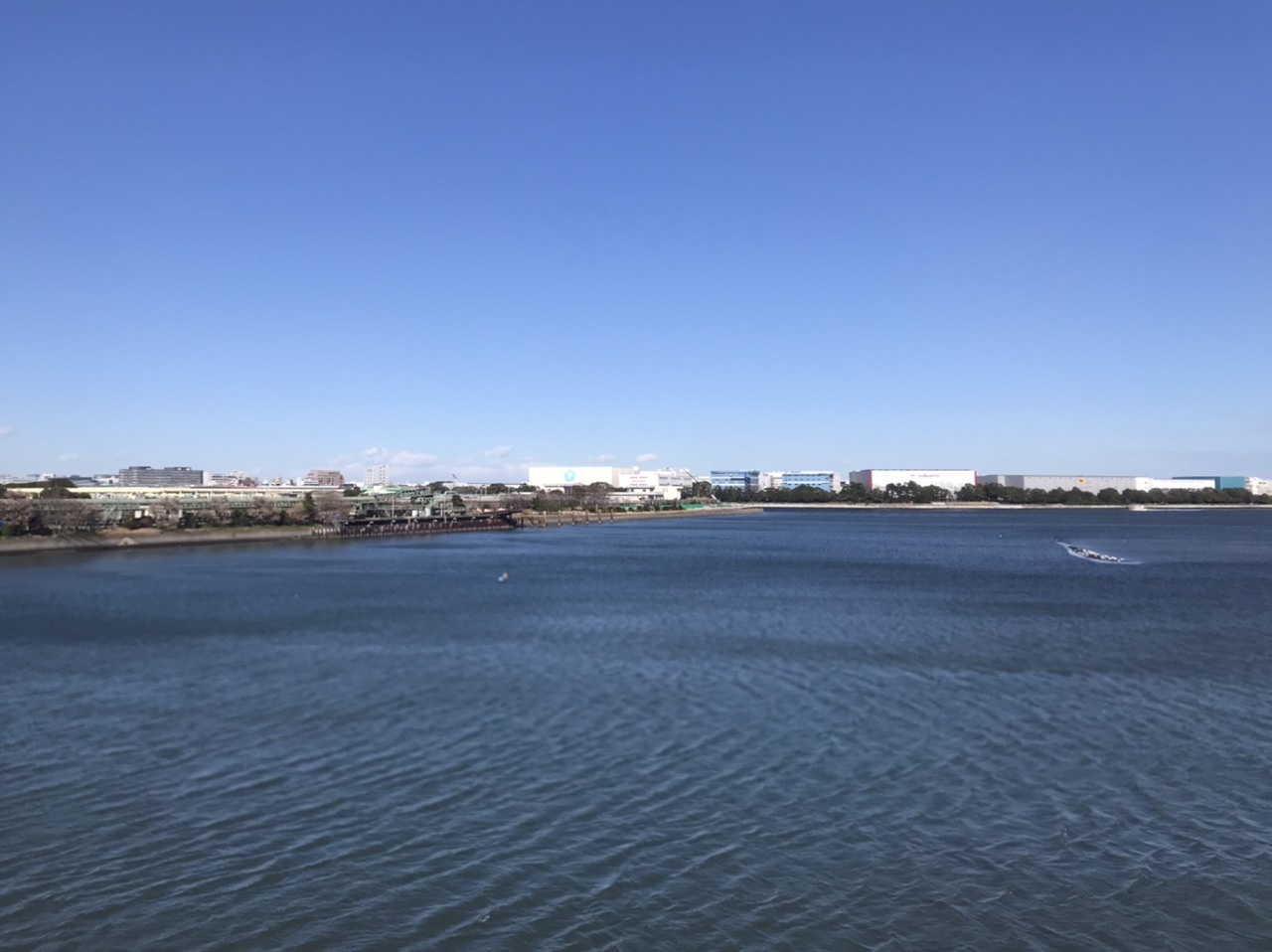 3月5日 羽田_a0317236_07405739.jpeg