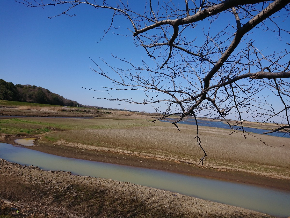 サイクリングへ(小貝川)_f0323446_21232318.jpg