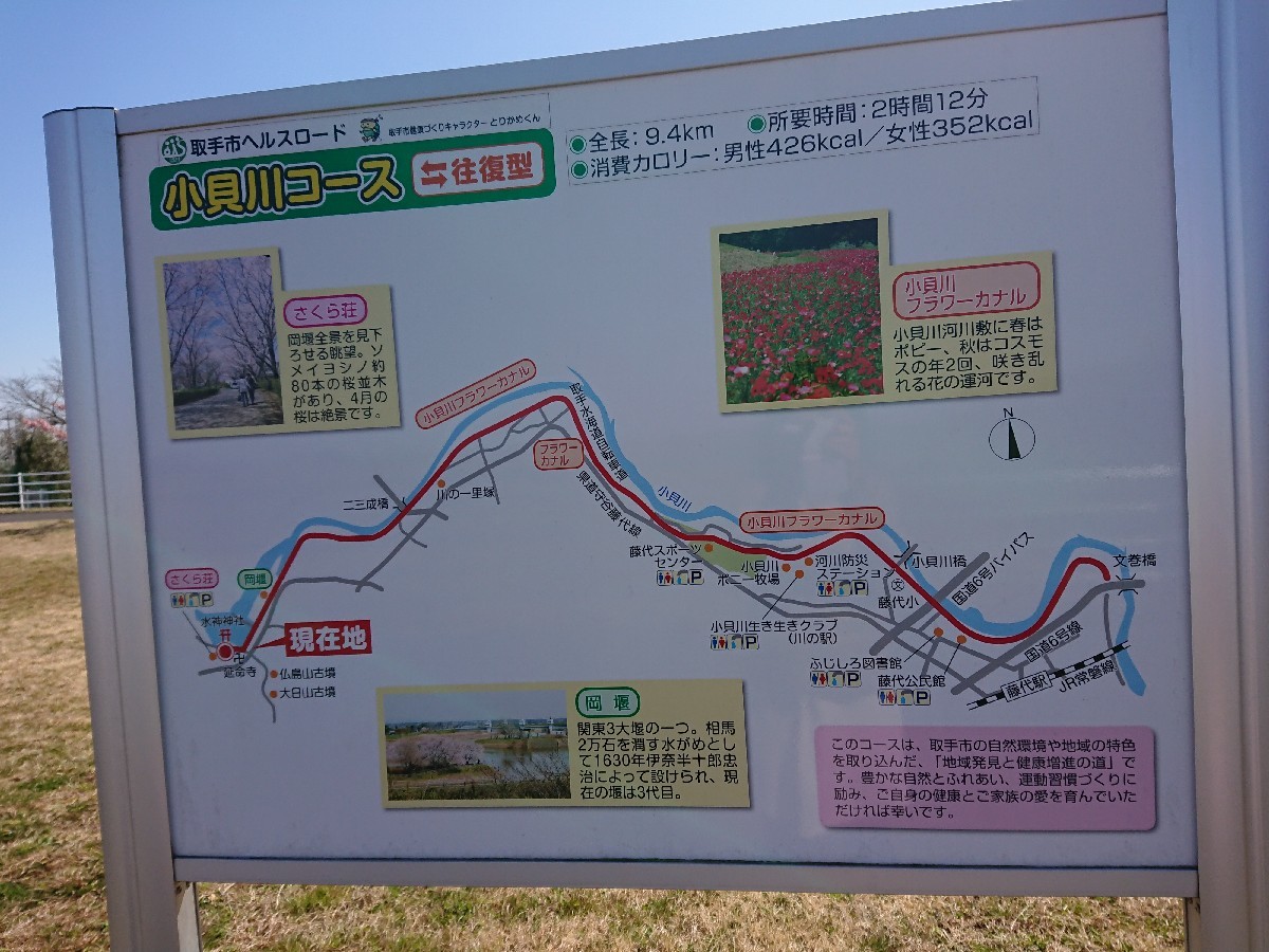 サイクリングへ(小貝川)_f0323446_21232324.jpg