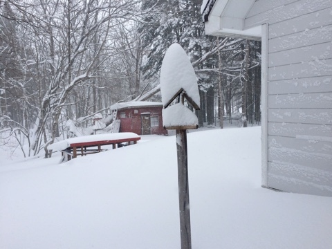 3月のドカ雪_e0405754_19474357.jpg