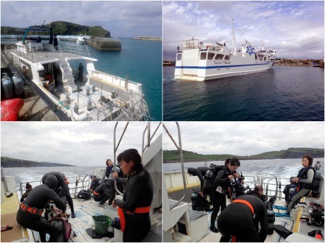 3月 6日 春になりました_d0113459_16413356.jpg